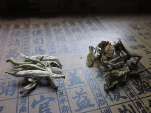 TeaSource Bai Hao Silver Needles, from Fuding, Fujian, China on left, and  Silver Peony White tea, from Yunan Province on right
