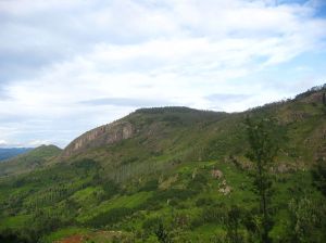 1024px-Nilgiri_mountain_view
